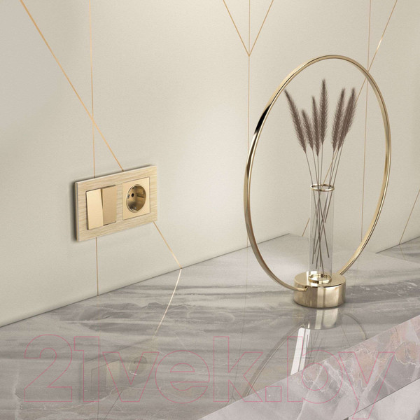 Изображение товара Розетка Werkel W1171111 (шампань)