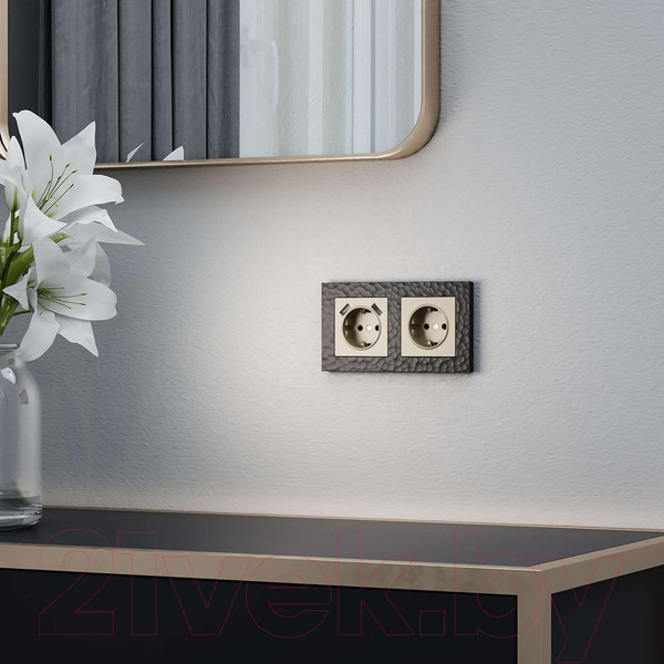 Изображение товара Розетка Werkel W1171111 (шампань)