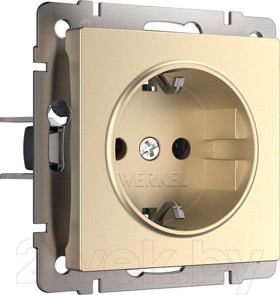 Изображение товара Розетка Werkel W1171111 (шампань)