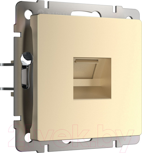 Изображение товара Розетка Werkel Ethernet RJ-45 / W1181011 (шампань)