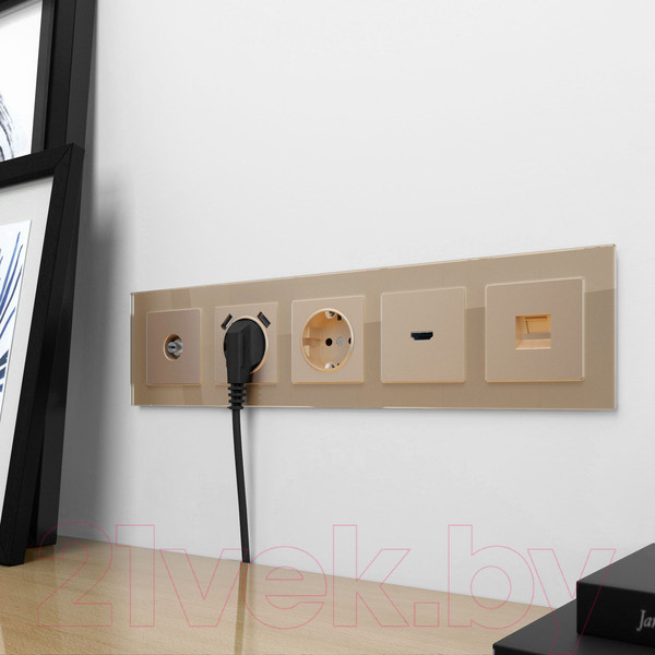 Изображение товара Розетка Werkel W1183011 (шампань)