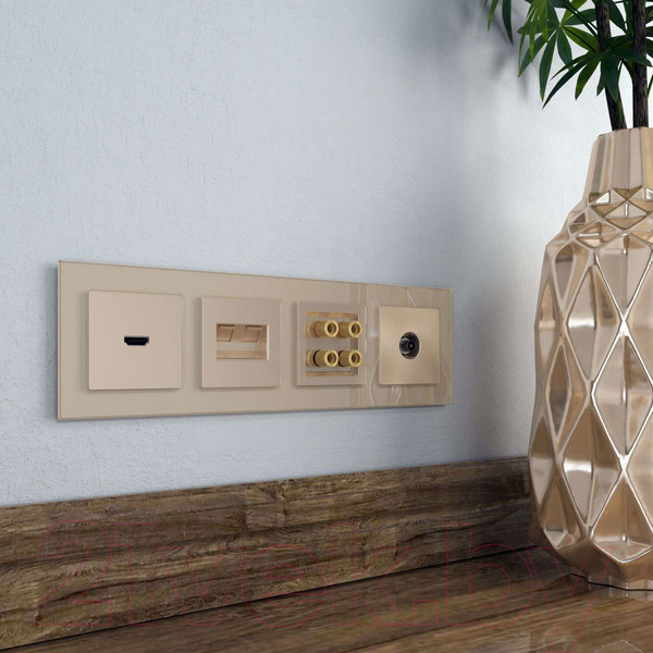 Изображение товара Розетка Werkel W1183011 (шампань)