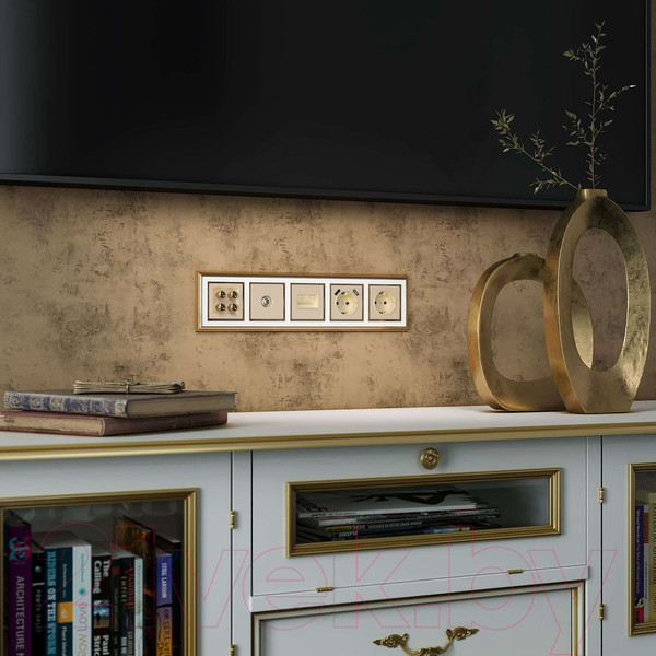 Изображение товара Розетка Werkel W1183011 (шампань)