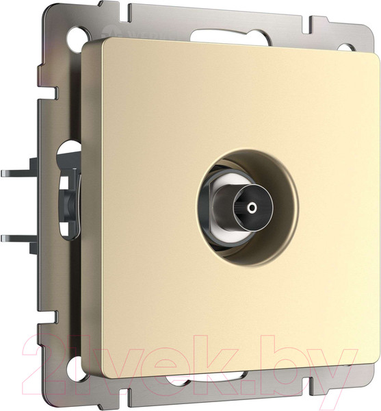 Изображение товара Розетка Werkel W1183011 (шампань)