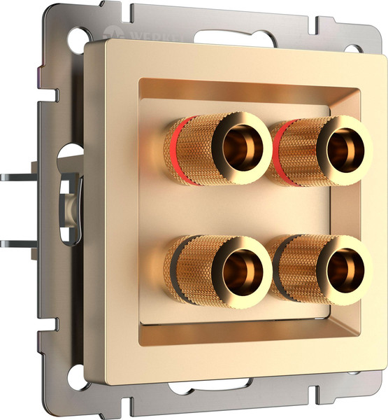 Изображение товара Розетка Werkel W1185011 (шампань)