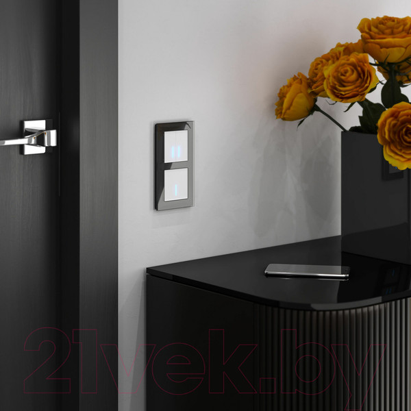 Изображение товара Выключатель Werkel W4520001 Сенсорный двухклавишный (белый)