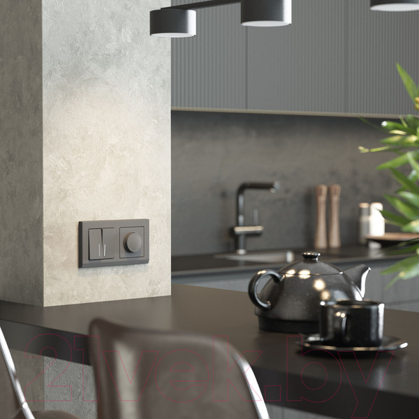 Изображение товара Диммер Werkel W1142064 (графит матовый)