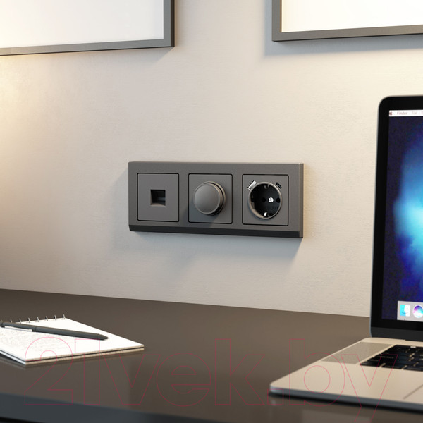 Изображение товара Диммер Werkel W1142064 (графит матовый)