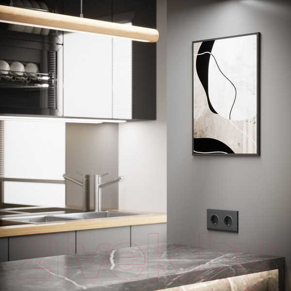 Изображение товара Розетка Werkel W1171164 (графит матовый)