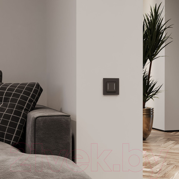 Изображение товара Выключатель Werkel W4522008 Сенсорный двухклавишный (черный)