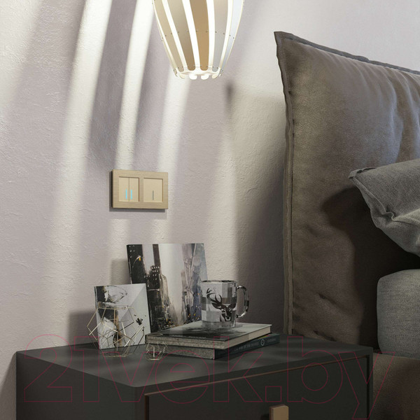 Изображение товара Выключатель Werkel W4510011 Сенсорный одноклавишный (шампань)