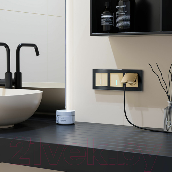 Изображение товара Выключатель Werkel W4510011 Сенсорный одноклавишный (шампань)