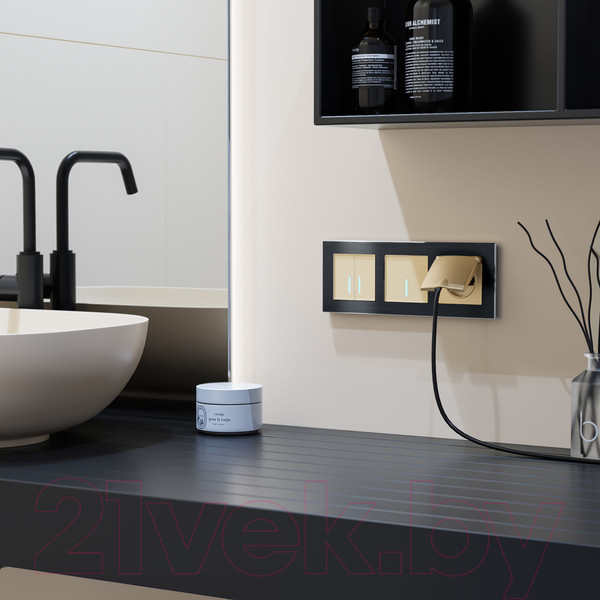 Изображение товара Выключатель Werkel W4520011 Сенсорный двухклавишный (шампань)