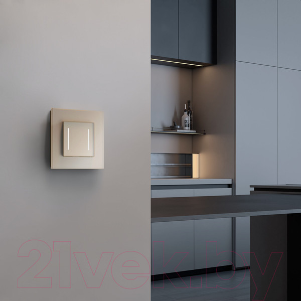 Изображение товара Выключатель Werkel W4522011 Сенсорный двухклавишный (шампань)