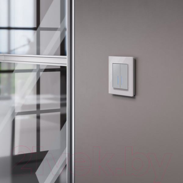Изображение товара Выключатель Werkel W4520006 Сенсорный двухклавишный (серебряный)