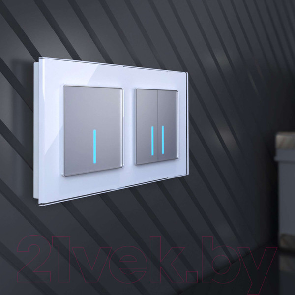 Изображение товара Выключатель Werkel W4520006 Сенсорный двухклавишный (серебряный)