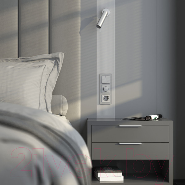 Изображение товара Рамка для выключателей и розеток Werkel Senso W0033106 (серебряный/стекло soft-touch)