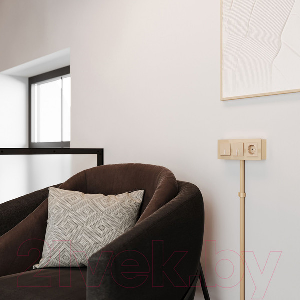 Изображение товара Коробка открытого монтажа Werkel W8000011 (шампань)