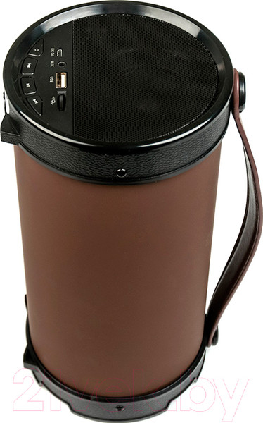 Изображение товара Портативная акустика Dialog Progressive AP-1000