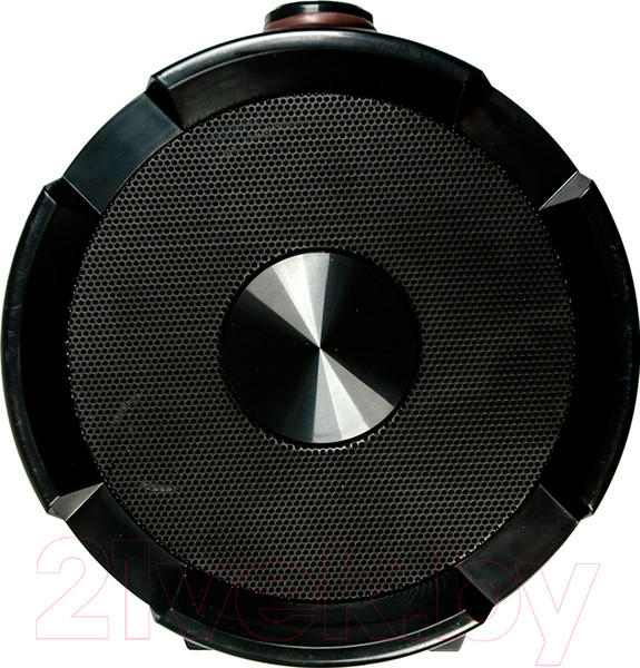 Изображение товара Портативная акустика Dialog Progressive AP-1000