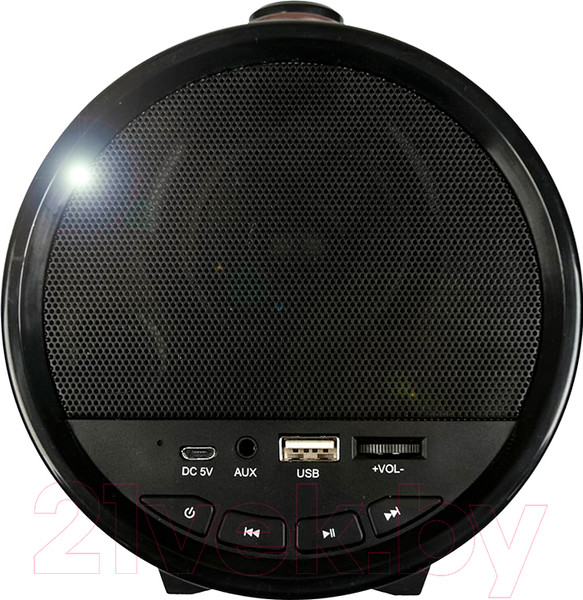 Изображение товара Портативная акустика Dialog Progressive AP-1000