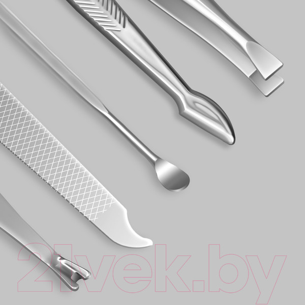 Изображение товара Набор для маникюра Queen Fair Metallic / 5198963 (розовый)