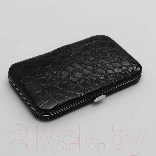 Изображение товара Набор для маникюра Queen Fair Рептилия / 5198965 (черный)