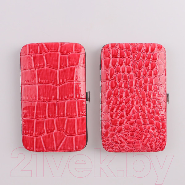 Изображение товара Набор для маникюра Queen Fair Рептилия / 5198966 (красный)