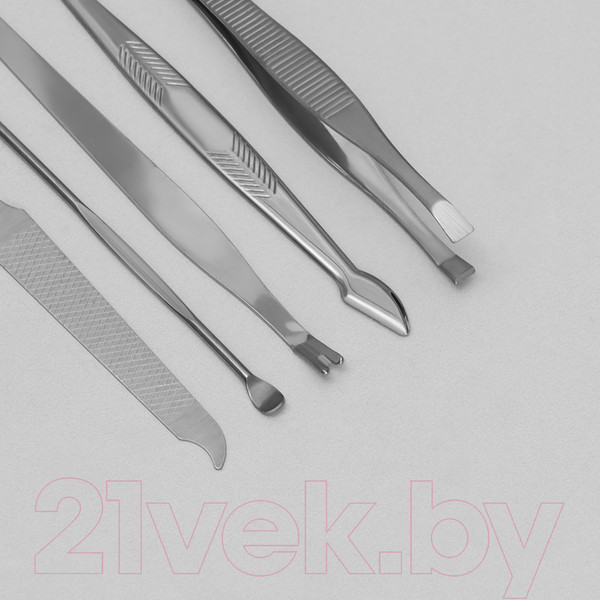 Изображение товара Набор для маникюра Queen Fair Рептилия / 5198966 (красный)