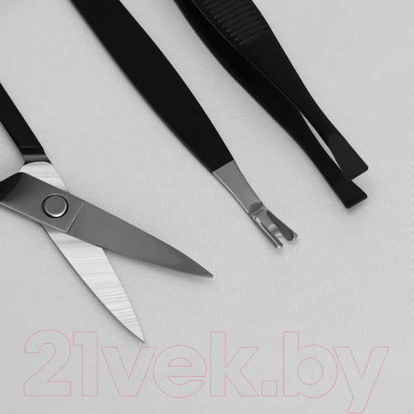 Изображение товара Набор для маникюра Queen Fair 9703798 (черный)