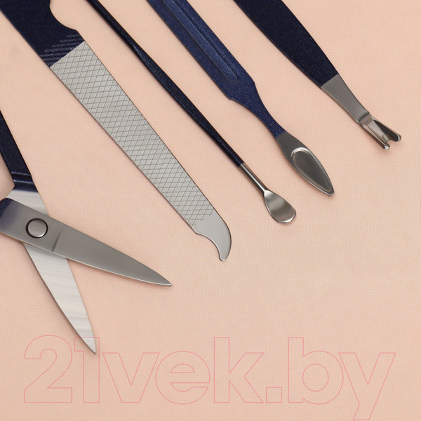 Изображение товара Набор для маникюра Queen Fair 9703796 (синий)