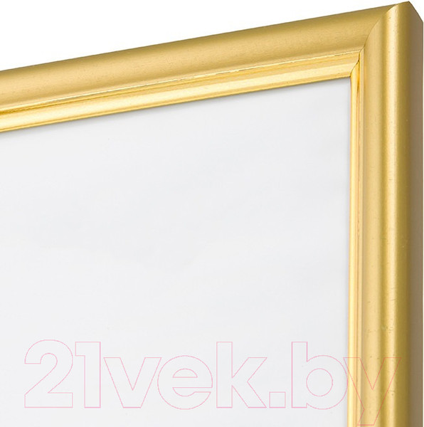 Изображение товара Рамка Мирам 636411-22 (20x20)