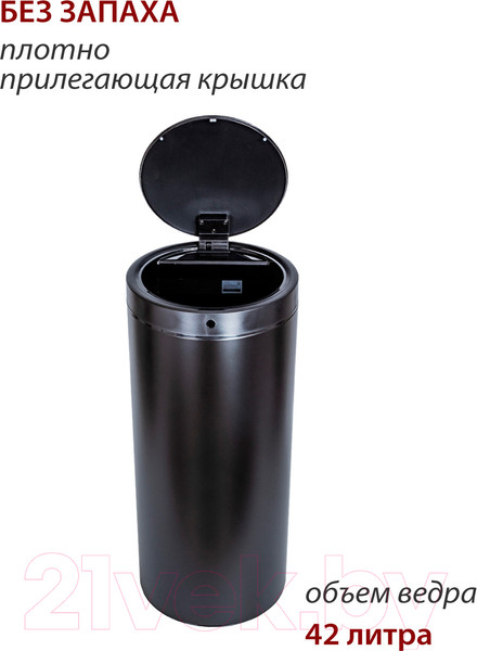 Изображение товара Сенсорное мусорное ведро Pioneer WB424B