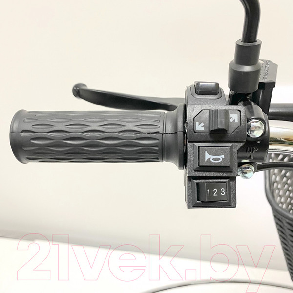 Изображение товара Электровелосипед Green Camel Транк 18 V8 DD R18 250W 60v 20Ah (гидравлика)