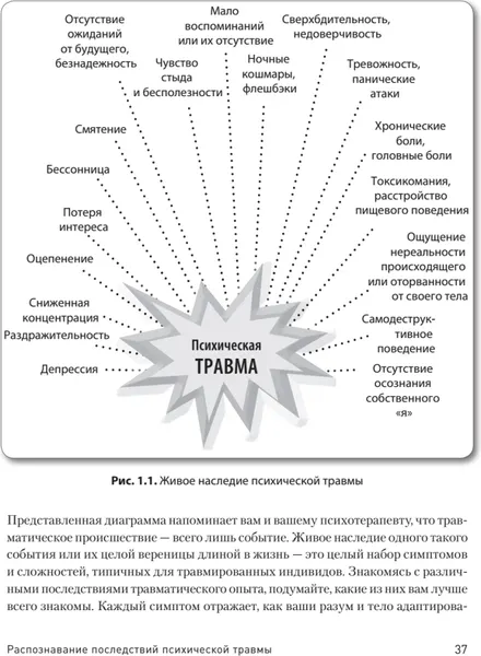 Изображение товара Нехудожественная книга Питер Трансформация травмы мягкая обложка (Фишер Янина)