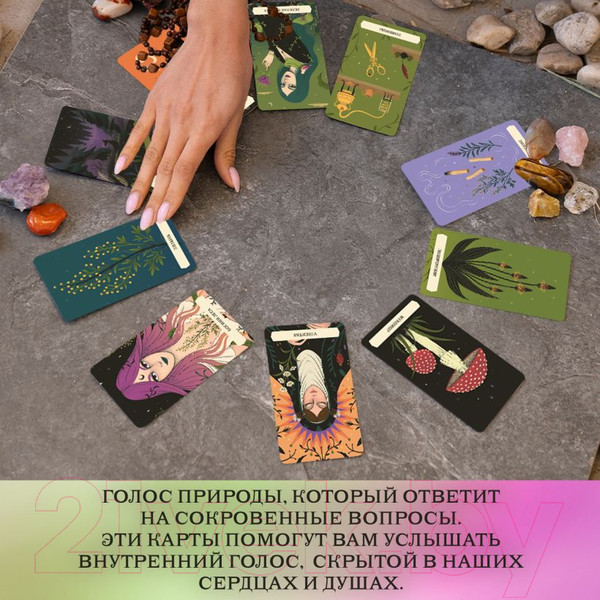 Изображение товара Гадальные карты Эксмо Тайный оракул Зеленой ведьмы / 9785041817800
