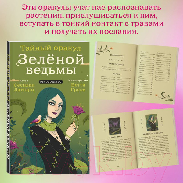 Изображение товара Гадальные карты Эксмо Тайный оракул Зеленой ведьмы / 9785041817800