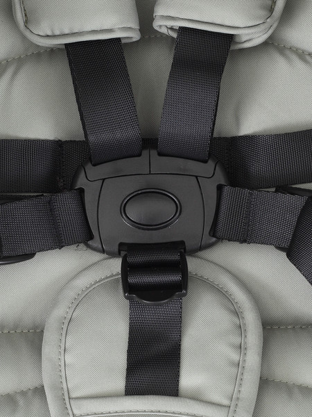 Изображение товара Детская прогулочная коляска Rant Basic Vega 2024 / RA105 (зеленый)