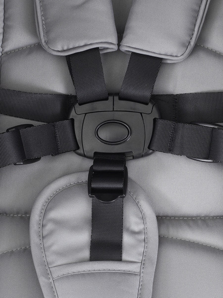 Изображение товара Детская прогулочная коляска Rant Basic Vega 2024 / RA105 (серый)