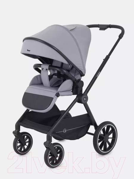 Изображение товара Детская универсальная коляска Rant Moss 2 в 1 / RA321 (Classic Grey)