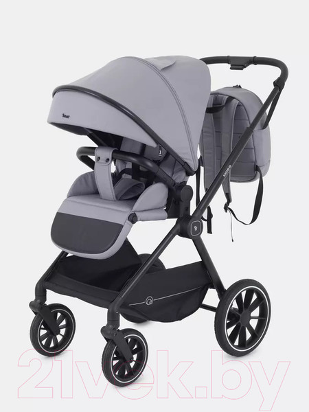 Изображение товара Детская универсальная коляска Rant Moss 2 в 1 / RA321 (Classic Grey)