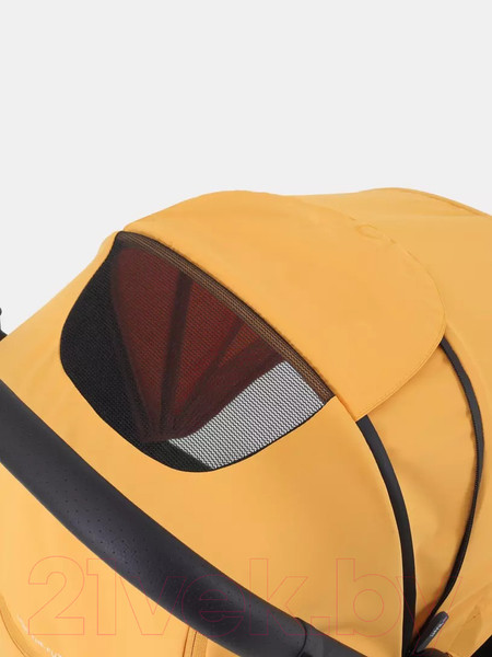 Изображение товара Детская прогулочная коляска Rant Lumos / RA402 (Amber Yellow)