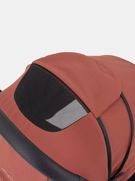 Изображение товара Детская прогулочная коляска Rant Lumos / RA402 (Maroon Brown)