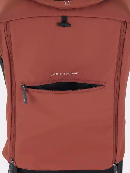 Изображение товара Детская прогулочная коляска Rant Lumos / RA402 (Maroon Brown)