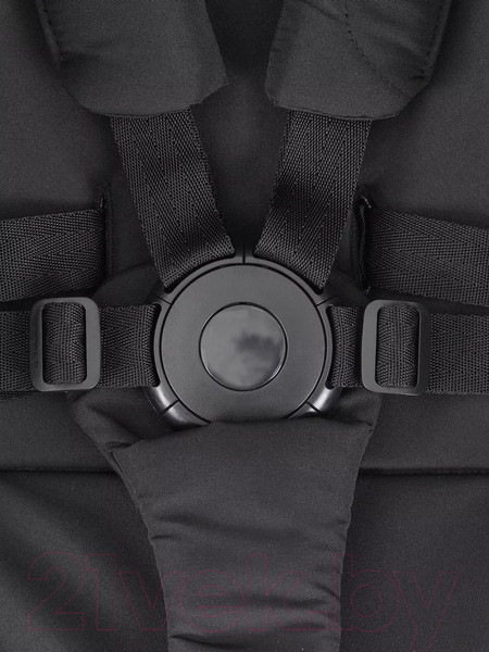 Изображение товара Детская прогулочная коляска Rant Lumos / RA402  (Sage Green)