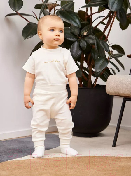 Изображение товара Набор футболок для малышей Rant Mosaic / 4675/1 (р.68, бежевый)