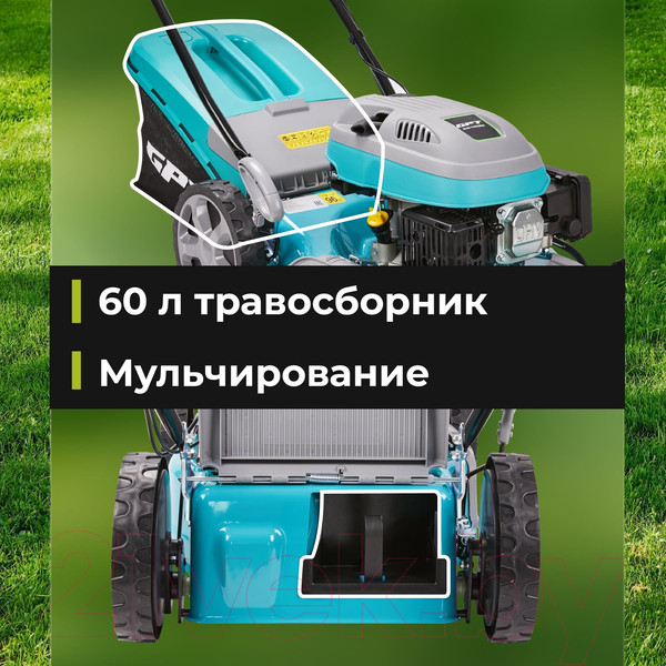 Изображение товара Газонокосилка бензиновая GPT GLM-T4629SA