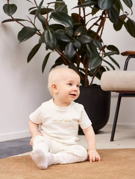 Изображение товара Набор футболок для малышей Rant Mosaic / 4675/2  (р.86, зеленый)