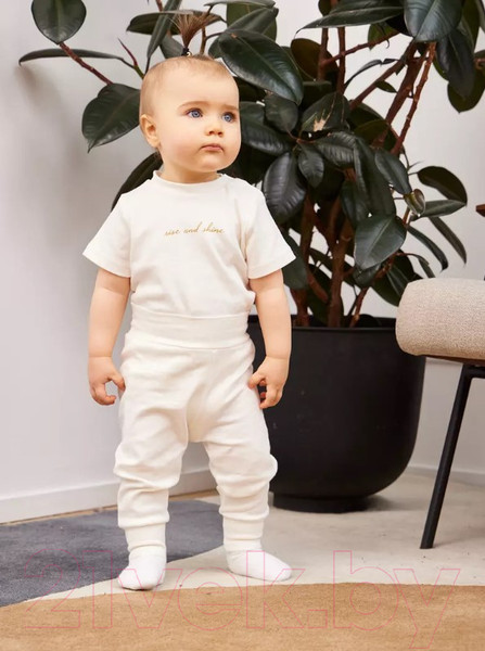 Изображение товара Набор футболок для малышей Rant Mosaic / 4675/2  (р.86, зеленый)