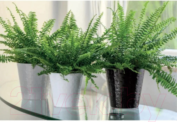 Изображение товара Кашпо Formplastic Diament Petit / FP-3750-011 (белый)